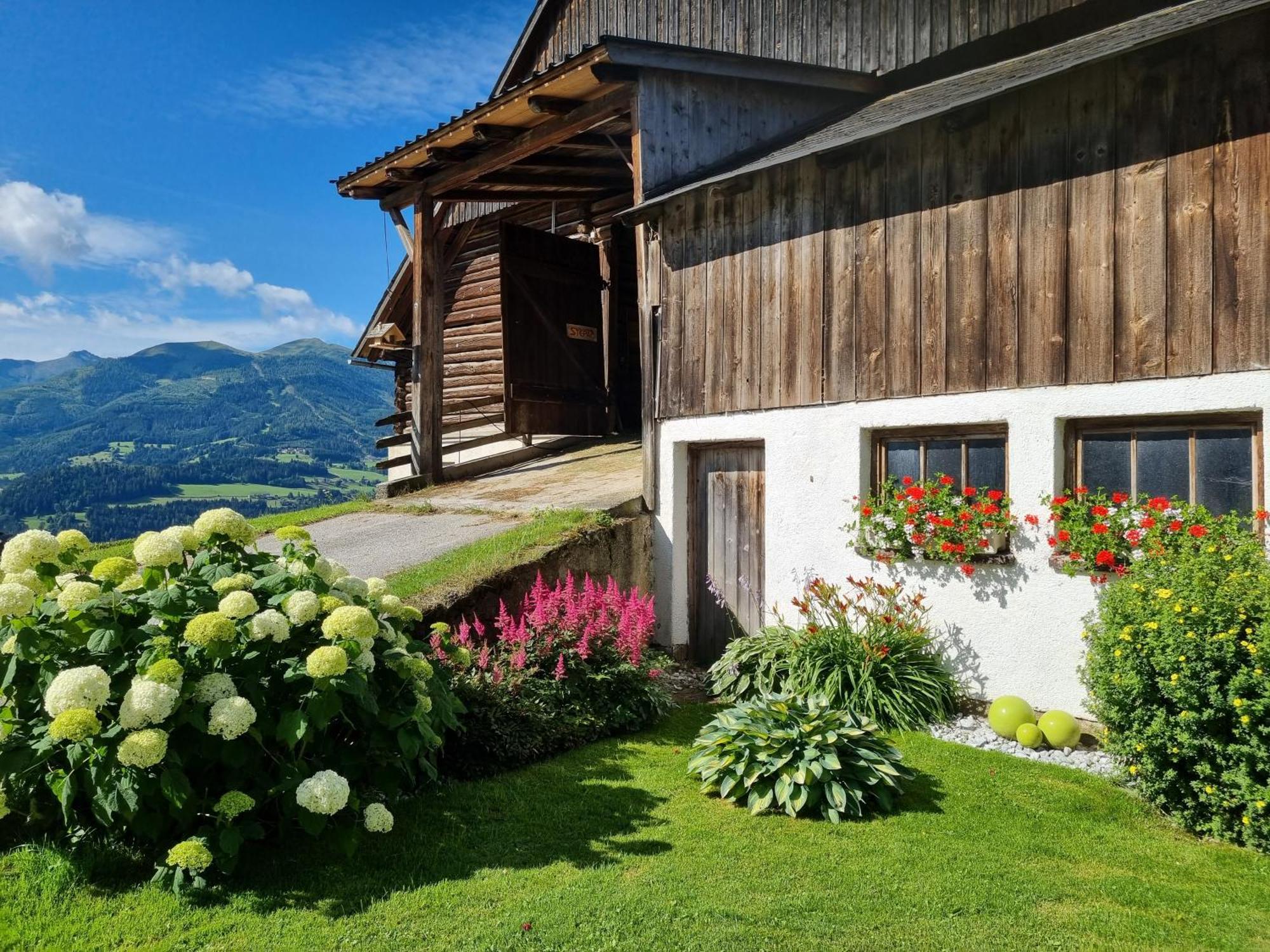 Kulmerhof - Farm Apartment Pruggern Bagian luar foto
