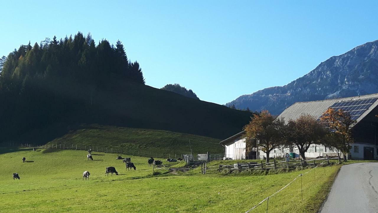 Kulmerhof - Farm Apartment Pruggern Bagian luar foto